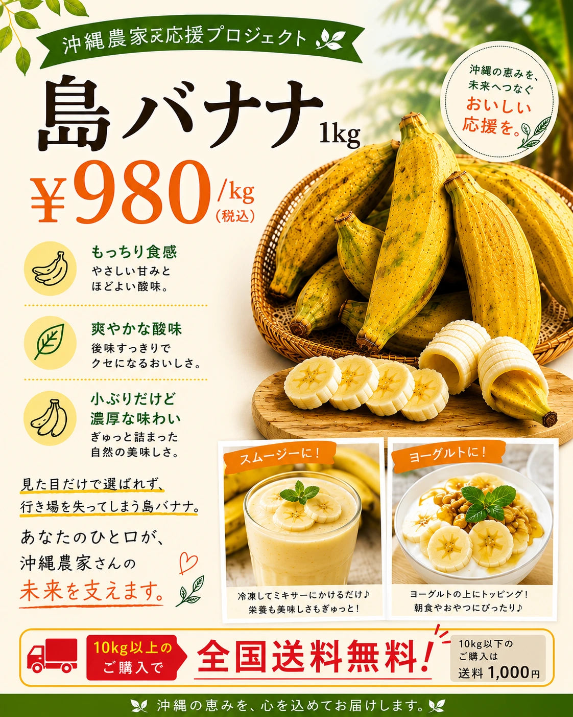 訳あり 島バナナ 1kg