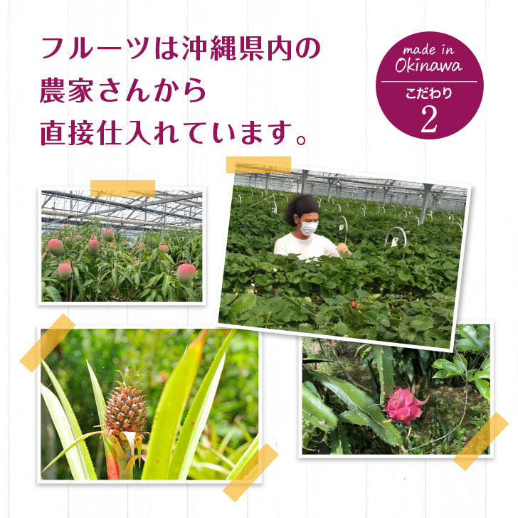 Okinawa freeze-dried fruits (30g)