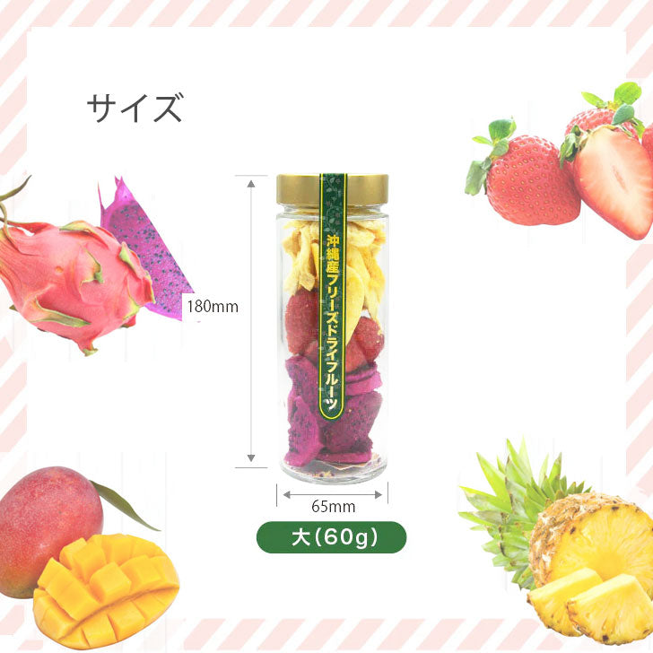 沖縄フリーズドライフルーツ (60g)