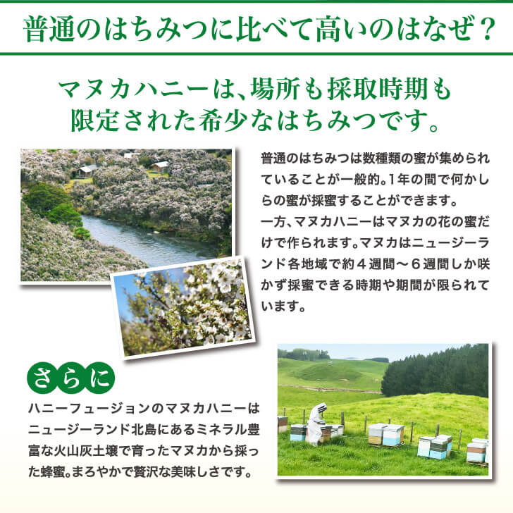 プレミアムマヌカハニー400g 2個セット‼️ - マヌカハニー専門店 ハニーフュージョン