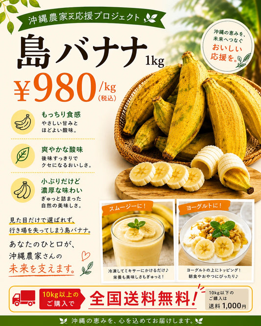 訳あり 島バナナ 1kg