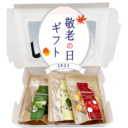 健康セッット
