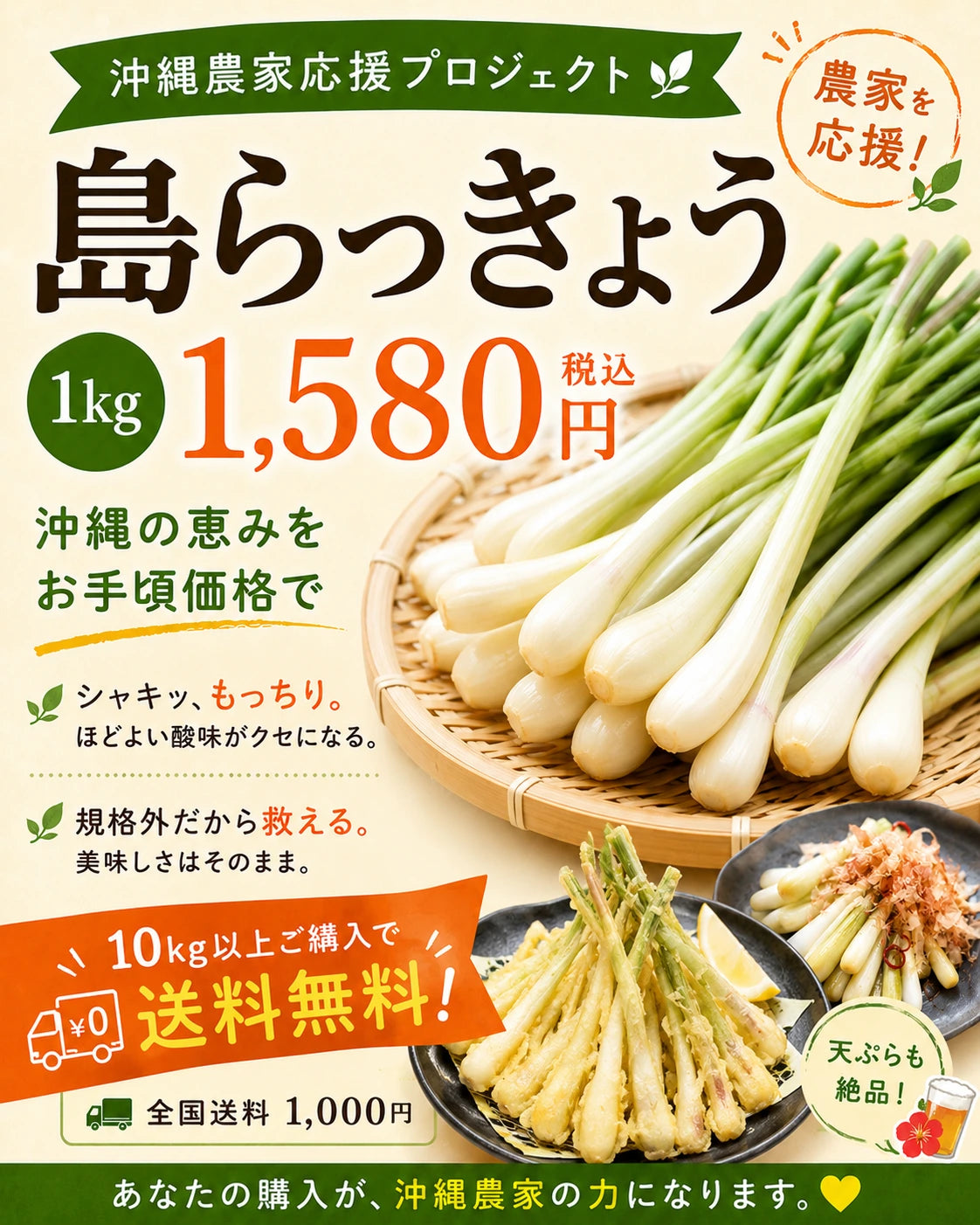 訳あり 島らっきょう 1kg