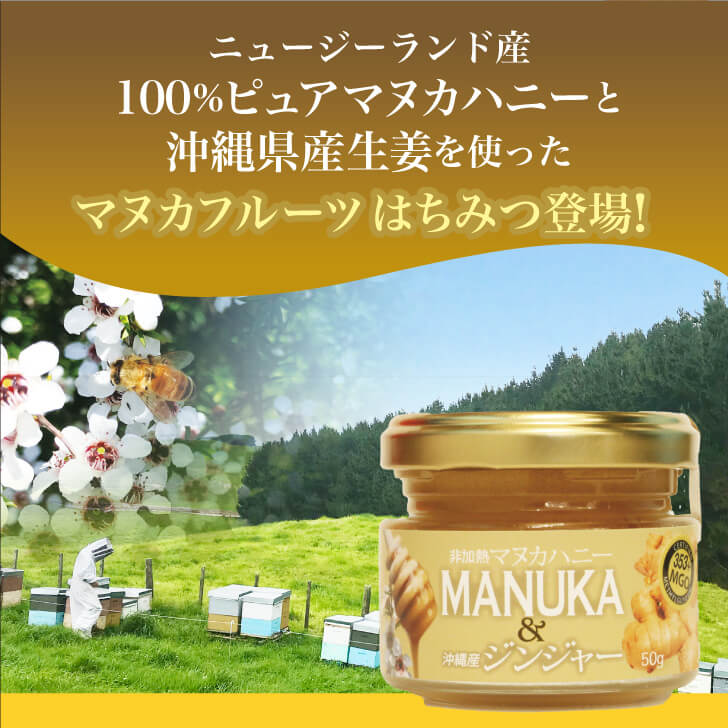 Manuka Honey & Ginger MGO 353+ (50g)